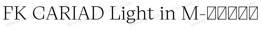 FK CARIAD Light in M字体转换